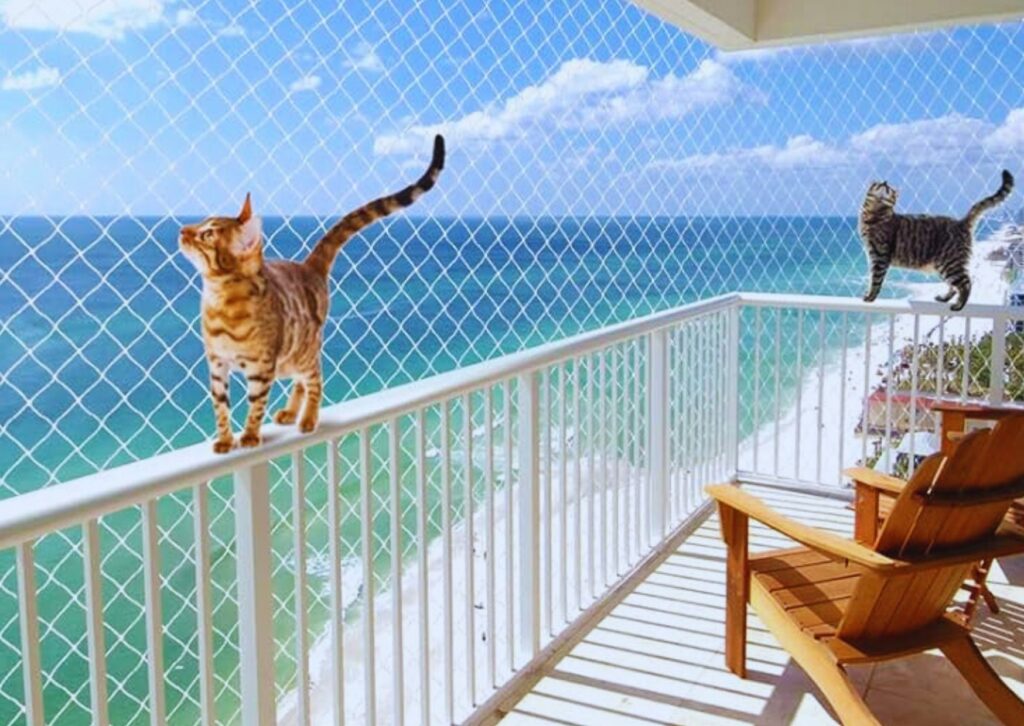 Pets Safety Nets Service in Hyderabad