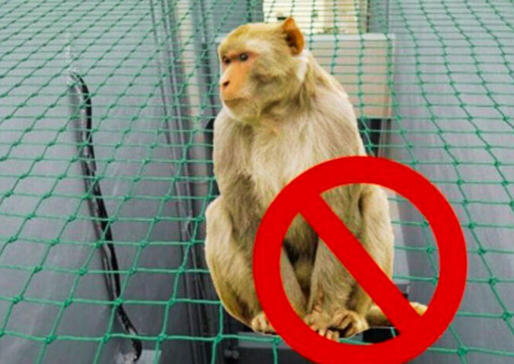 Monkey safety nets for residential apartments