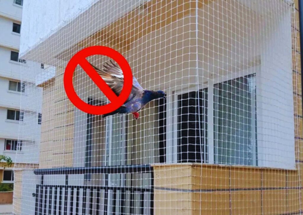 Balcony bird protection nets installation service