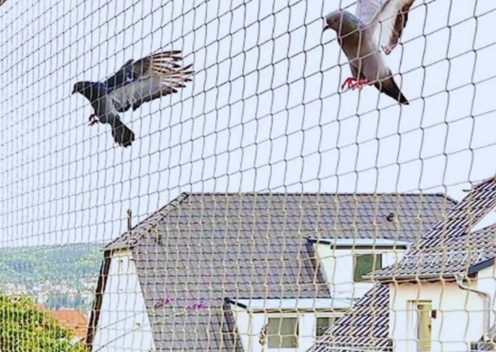 Best quality balcony safety nets with free installation