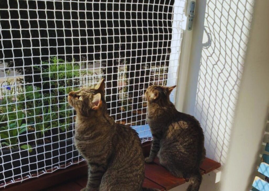 Pet safety nets for balconies